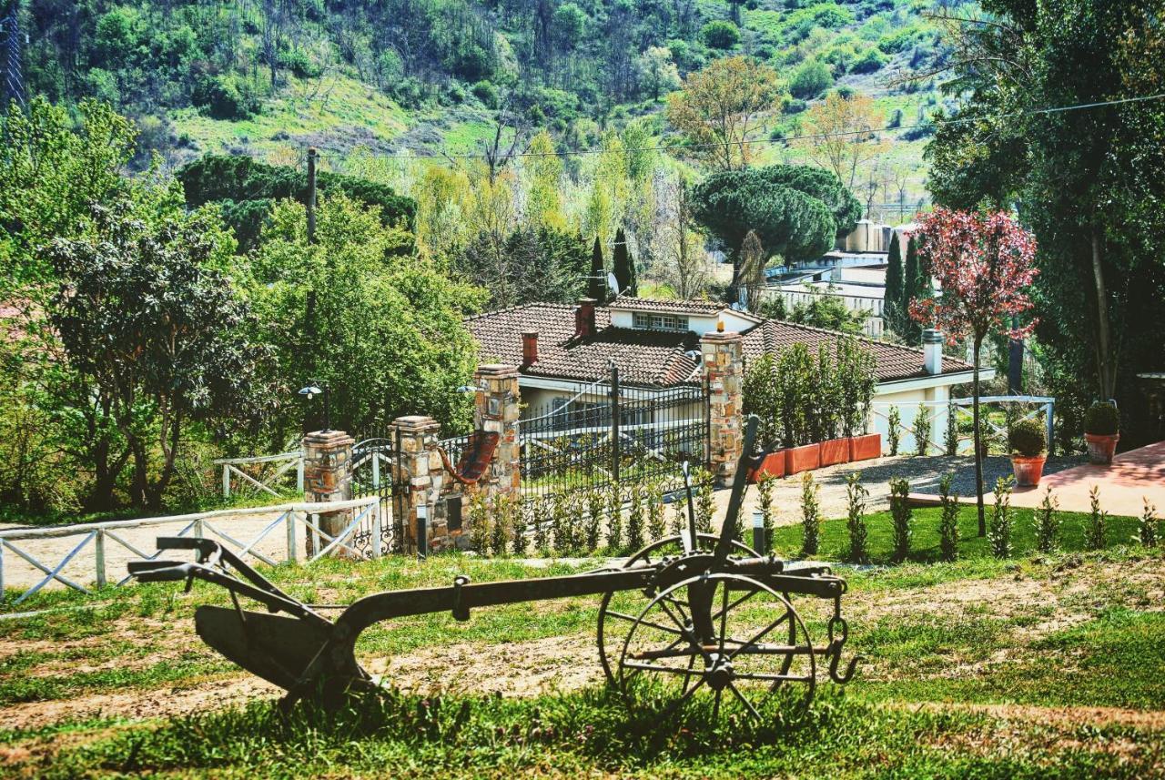 La Valle B&B Cavriglia Kültér fotó